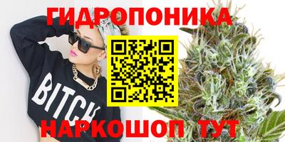 стафф Волжск