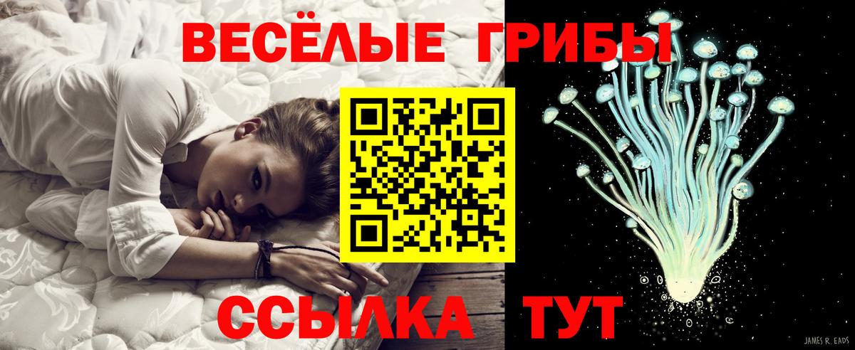Псилоцибиновые грибы мухоморы  Вход с VPN  Иркутск 