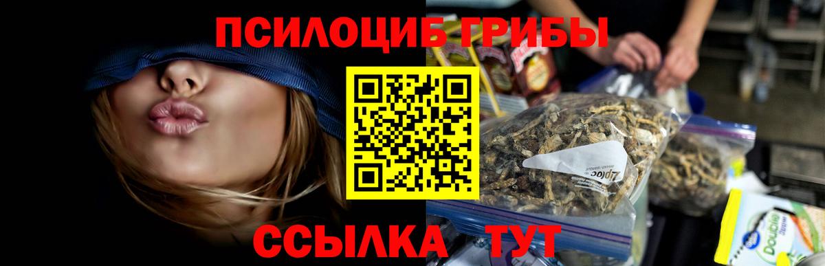 Галлюциногенные грибы Psilocybine cubensis Иркутск